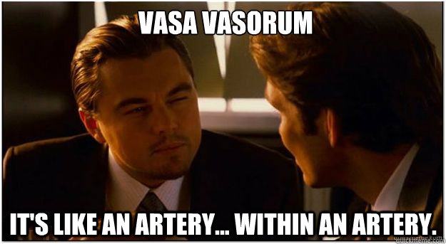                           Vasa Vasorum It's like an artery... within an artery.  