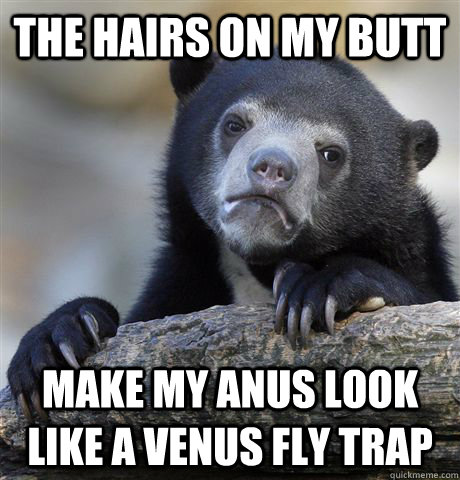 The hairs on my butt make my anus look like a venus fly trap  Confession Bear