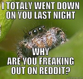I TOTALY WENT DOWN ON YOU LAST NIGHT WHY ARE YOU FREAKING OUT ON REDDIT? Misunderstood Spider