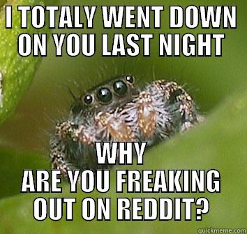 Considerate Lover - I TOTALY WENT DOWN ON YOU LAST NIGHT WHY ARE YOU FREAKING OUT ON REDDIT? Misunderstood Spider