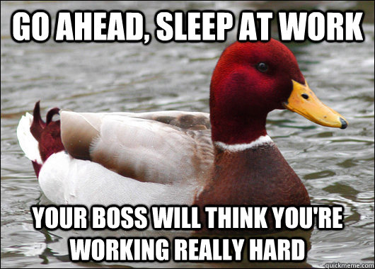 Go ahead, sleep at work your boss will think you're working really hard  Malicious Advice Mallard