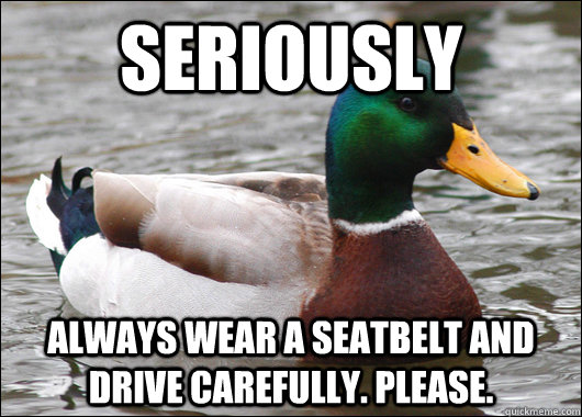 Seriously Always wear a seatbelt and drive carefully. please.   Actual Advice Mallard