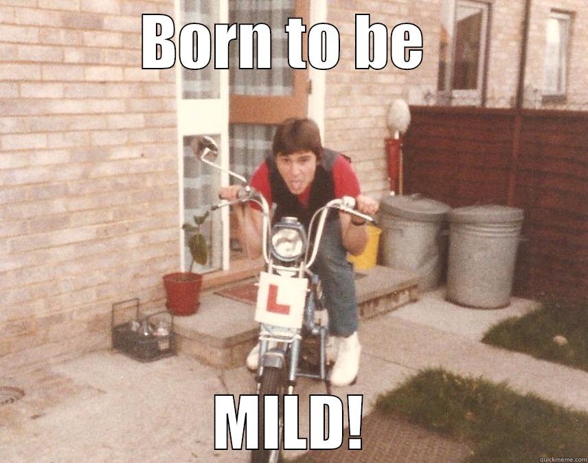BORN TO BE  MILD! Misc