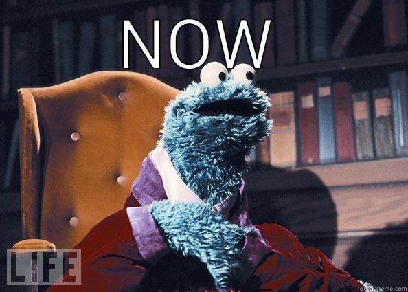 NOW  Cookie Monster
