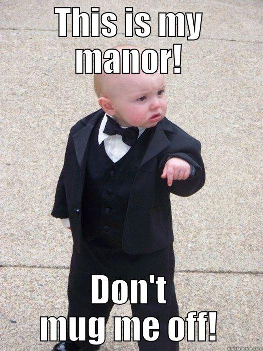 THIS IS MY MANOR! DON'T MUG ME OFF! Baby Godfather