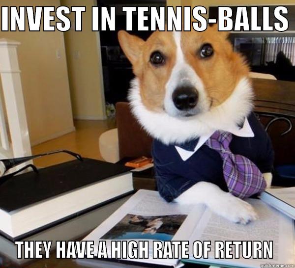 INVEST IN TENNIS-BALLS  THEY HAVE A HIGH RATE OF RETURN  Lawyer Dog