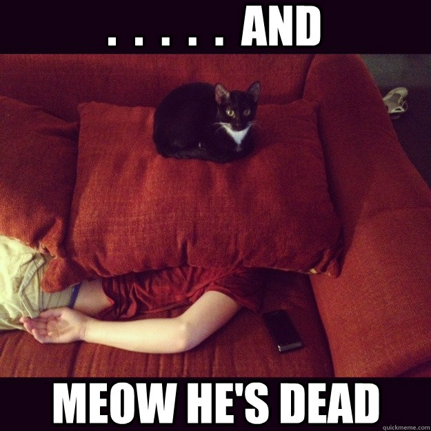 .  .  .  .  .  and meow he's dead  jealous cat