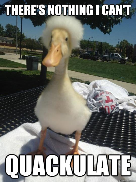 there's nothing i can't quackulate - there's nothing i can't quackulate  Einstein Duck