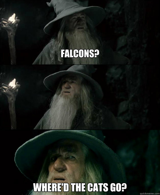 Falcons? Where'd the cats go?  Confused Gandalf