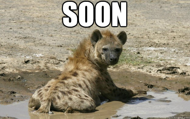 SOON - SOON  soon hyena