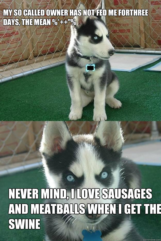 My so called owner has not fed me forthree days, the mean %*++