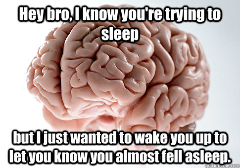 Hey bro, I know you're trying to sleep but I just wanted to wake you up to let you know you almost fell asleep.  Scumbag Brain