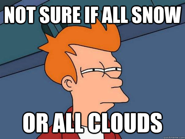 Not sure if all snow or all clouds  Futurama Fry