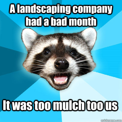 A landscaping company had a bad month It was too mulch too us  Lame Pun Coon
