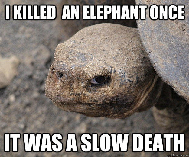 I killed  an elephant once It was a slow death  