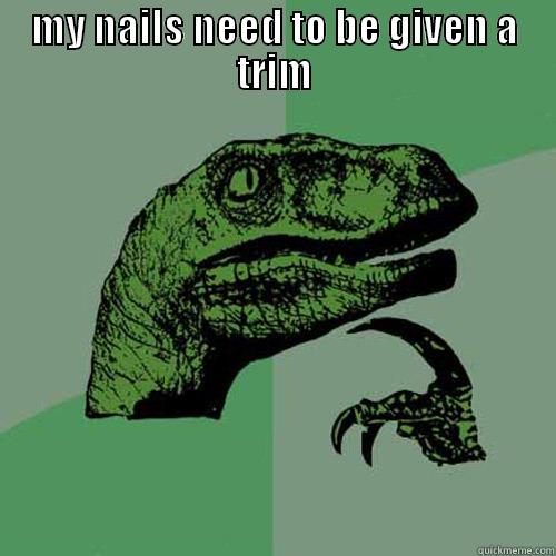 MY NAILS NEED TO BE GIVEN A TRIM  Philosoraptor