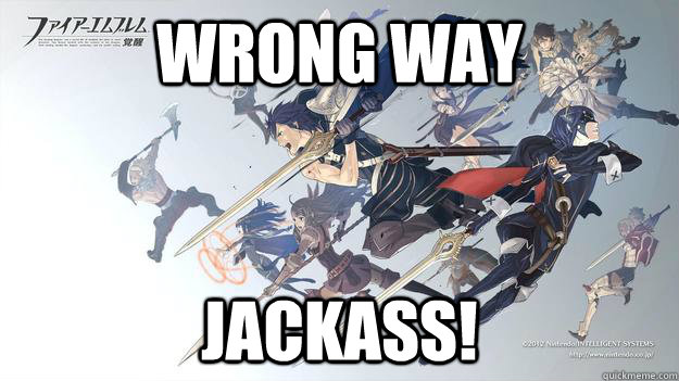 WRONG WAY JACKASS!  Stupid Lucina