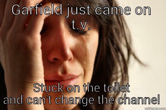 GARFIELD JUST CAME ON T.V. STUCK ON THE TOILET AND CAN'T CHANGE THE CHANNEL First World Problems