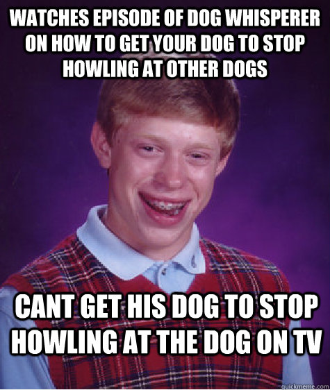 Watches episode of dog whisperer on how to get your dog to stop howling at other dogs cant get his dog to stop howling at the dog on tv - Watches episode of dog whisperer on how to get your dog to stop howling at other dogs cant get his dog to stop howling at the dog on tv  Bad Luck Brian