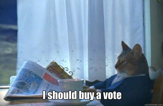 I should buy a vote  Sophisticated Cat