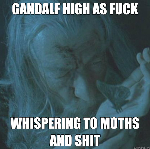 GANDALF HIGH AS FUCK WHISPERING TO MOTHS AND SHIT - GANDALF HIGH AS FUCK WHISPERING TO MOTHS AND SHIT  Misc