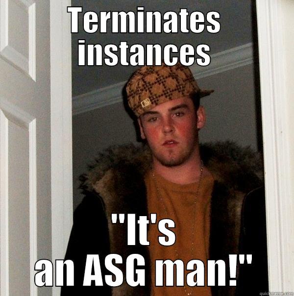 TERMINATES INSTANCES 