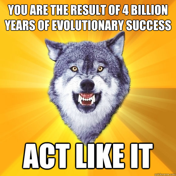 you are the result of 4 billion years of evolutionary success act like it  Courage Wolf