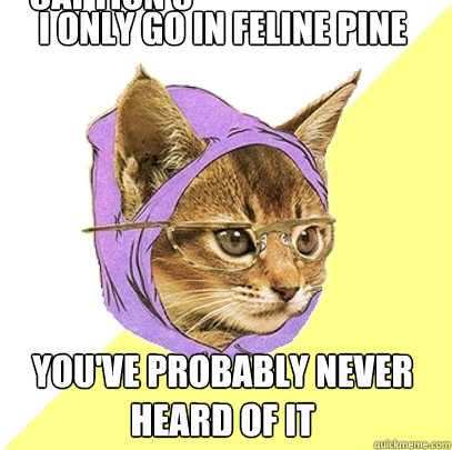 i only go in feline pine you've probably never heard of it Caption 3 goes here  Hipster Kitty