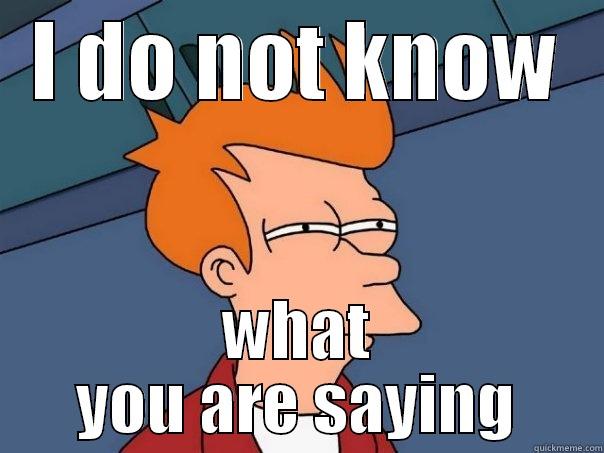 I DO NOT KNOW WHAT YOU ARE SAYING Futurama Fry