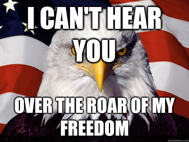 I can't hear you Over the roar of my freedom  Evil American Eagle