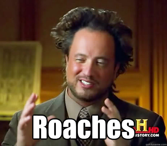 Roaches  Ancient Aliens