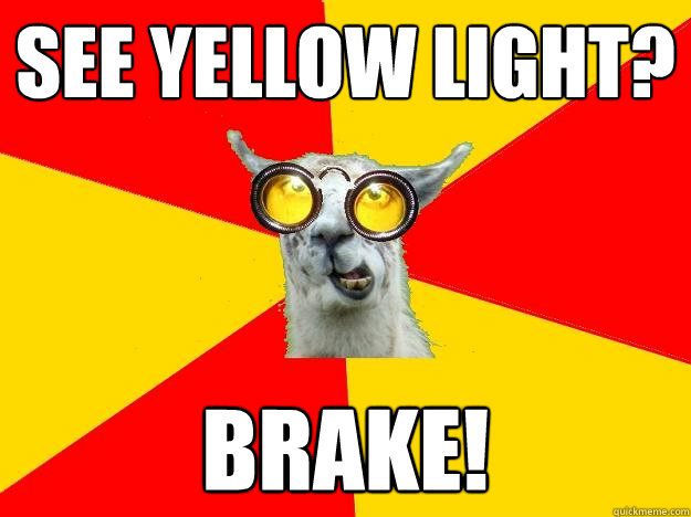 See yellow light? Brake!  Learner Driver Llama