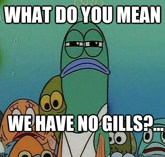 what do you mean we have no gills?...  Serious fish SpongeBob