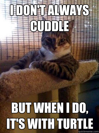 I don't always cuddle but when I do, it's with turtle  The Most Interesting Cat in the World