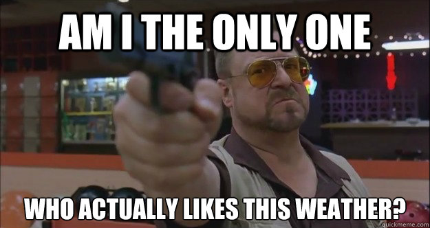 AM I THE ONLY ONE WHO ACTUALLY LIKES THIS WEATHER?  Walter Sobchak