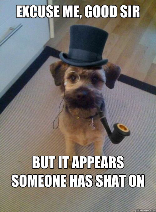 Excuse me, good sir but it appears someone has shat on the carpet - Excuse me, good sir but it appears someone has shat on the carpet  Gentleman Dog