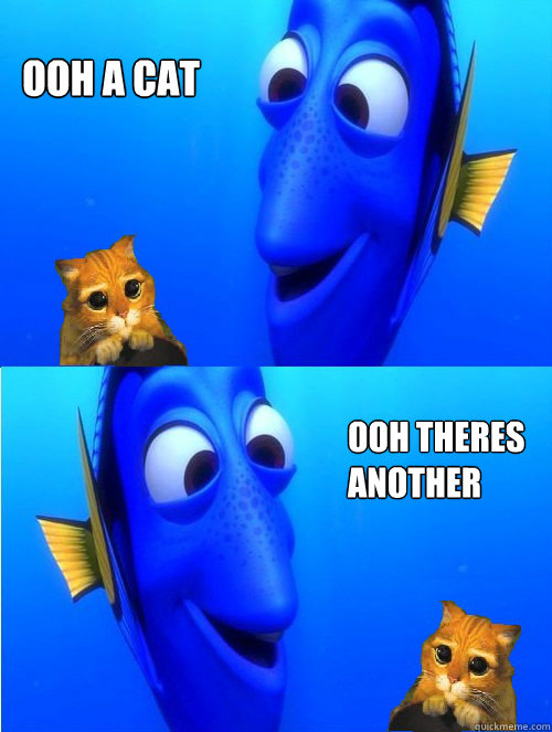 ooh a cat  ooh theres
another
 - ooh a cat  ooh theres
another
  dory