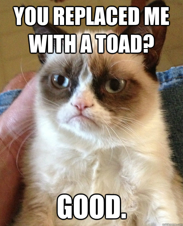 you replaced me with a toad? good.  grumpycat