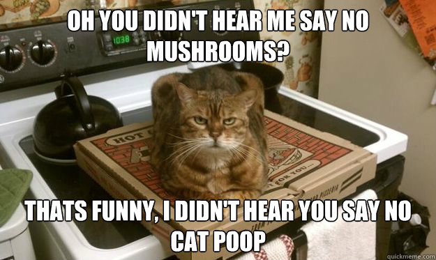 oh you didn't hear me say no mushrooms? thats funny, i didn't hear you say no cat poop - oh you didn't hear me say no mushrooms? thats funny, i didn't hear you say no cat poop  sittin cat