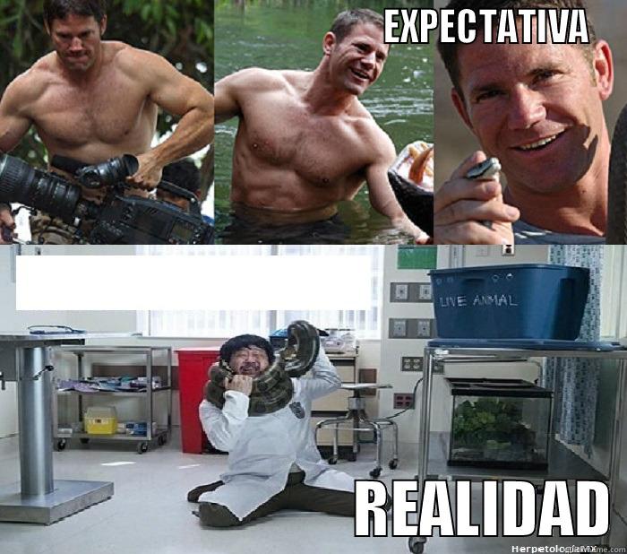                                                    EXPECTATIVA                              REALIDAD Misc