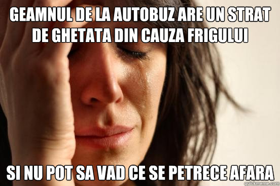 Geamnul de la autobuz are un strat de ghetata din cauza frigului si nu pot sa vad ce se petrece afara  First World Problems