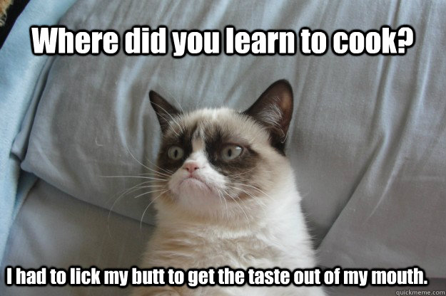 Where did you learn to cook? I had to lick my butt to get the taste out of my mouth.  tard grumpy cat