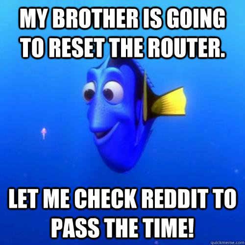 My brother is going to reset the router. Let me check reddit to pass the time! - My brother is going to reset the router. Let me check reddit to pass the time!  dory