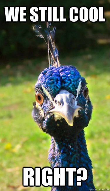 We still cool Right?  Funny-Face Peacock