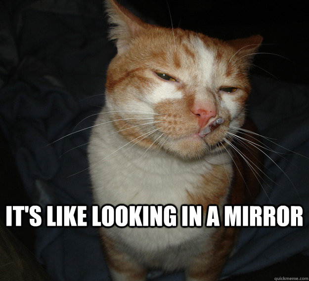It's like looking in a mirror   Cool Cat Craig
