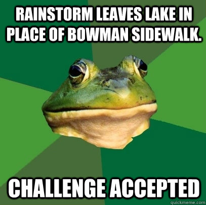 Rainstorm leaves lake in place of bowman sidewalk. Challenge accepted  Foul Bachelor Frog