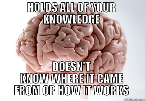 SCUMBAG BRAIN - HOLDS ALL OF YOUR KNOWLEDGE DOESN'T KNOW WHERE IT CAME FROM OR HOW IT WORKS Scumbag Brain