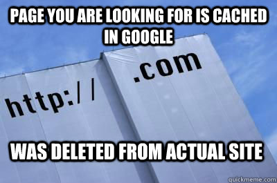 Page you are looking for is cached in google Was deleted from actual site  Scumbag Website