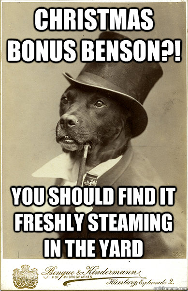 Christmas bonus benson?! you should find it freshly steaming in the yard  Old Money Dog