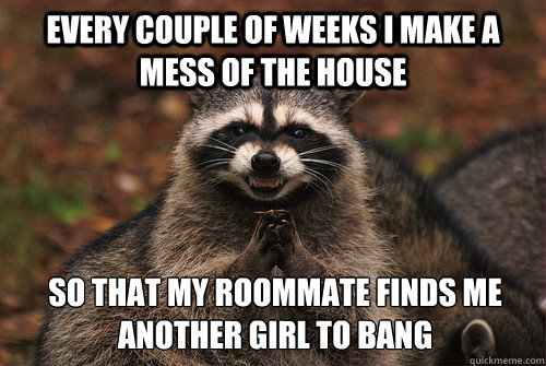 Every couple of weeks I make a mess of the house so that my roommate finds me another girl to bang  Insidious Racoon 2